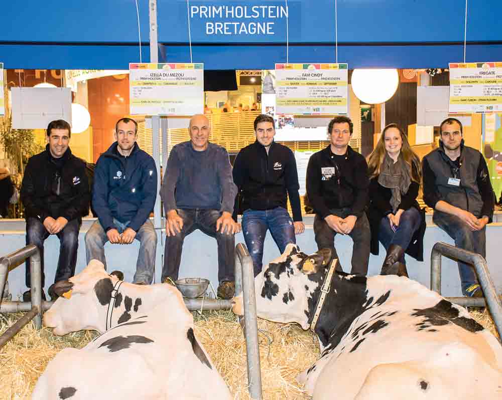 concours-agri-deiz-salon-agriculture-bovin-morlaix - Illustration 200 vaches en lait sur le ring du Régional