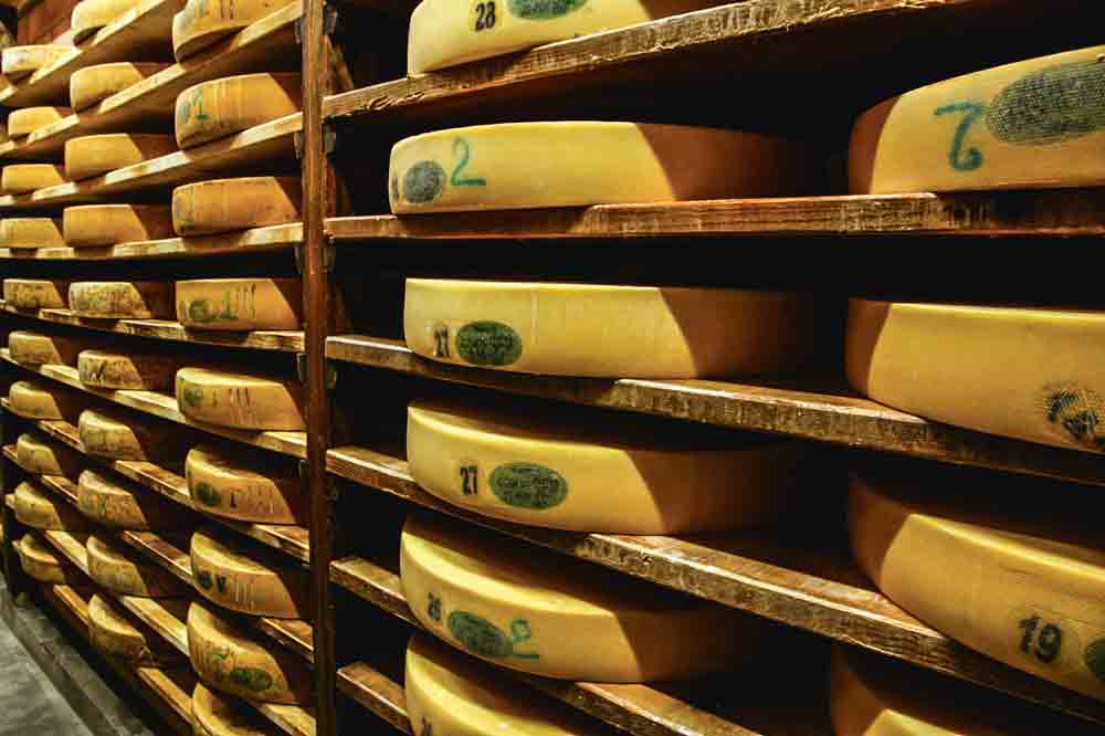 fromage-lait-vache-laitiere-aoc-comte - Illustration L’appellation d’origine leur procure 500 €/1 000 litres