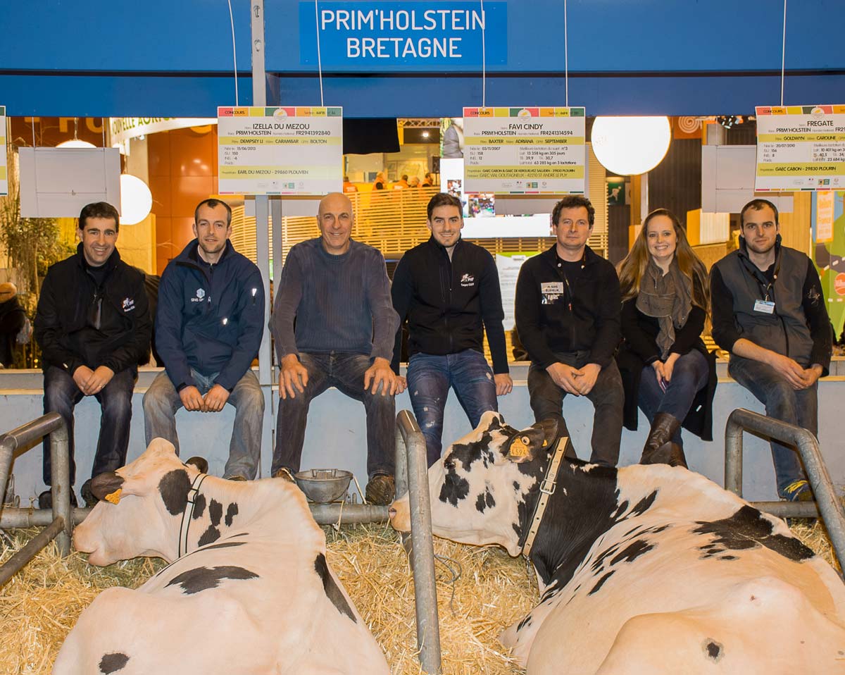 td_regional_morlaix - Illustration Agri Deiz : 200 vaches en lait sur le ring du Régional