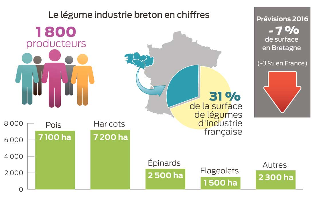 legume-industrie-bretagne - Illustration Irrigation : le légume industrie va-t-il mourir de soif ?