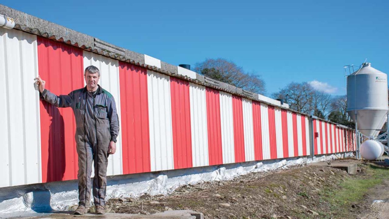 Le Polyuréthane Isole Les Poulaillers Anciens Journal Paysan Breton