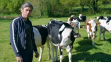 Jean-François Bréhaut, avec des génisses croisées Holstein-montbéliardes ou rouge suédoises, ouvre les portes de son élevage le jeudi 19 mai, à partir de 14 h.