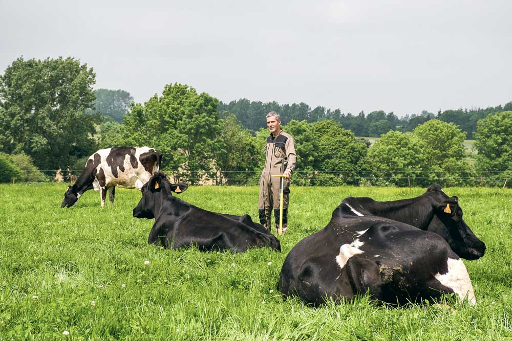 Emmanuel Nourry avoue gérer beaucoup mieux ses prairies qui sont désormais plus productives. Au final, en 2015, son troupeau de 40 vaches laitières n’a consommé que 3 t d’aliment. - Illustration L’objectif est désormais de pâturer au maximum