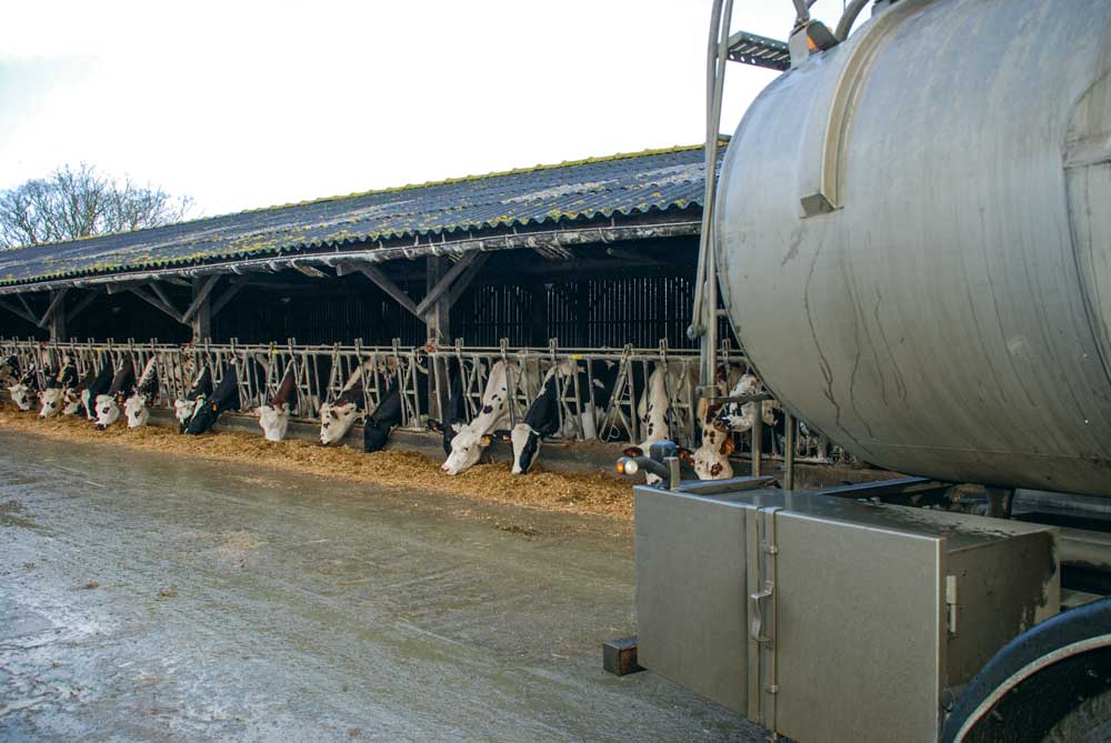 lait-prim-holstein-laitier - Illustration Un nouveau plan de soutien lié à une baisse de la production laitière