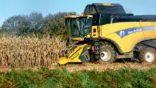 ensilage-moisson-mais-grain