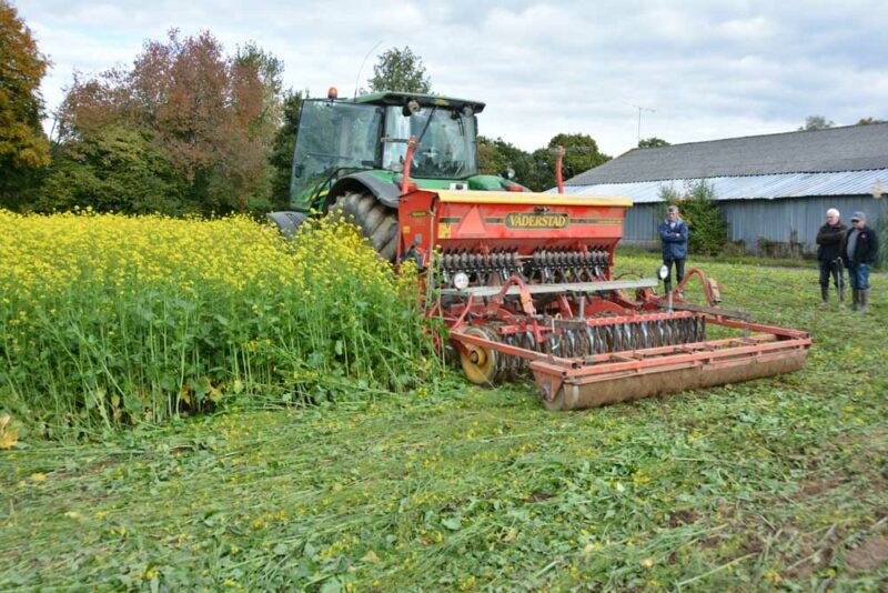 La parcelle, le jour du semis. Chantier décrit dans le Paysan Breton du 28 octobre.