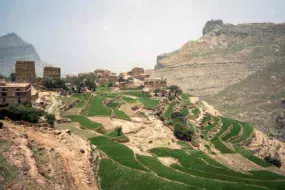 Yemen_agriculture-credit-wikimedia