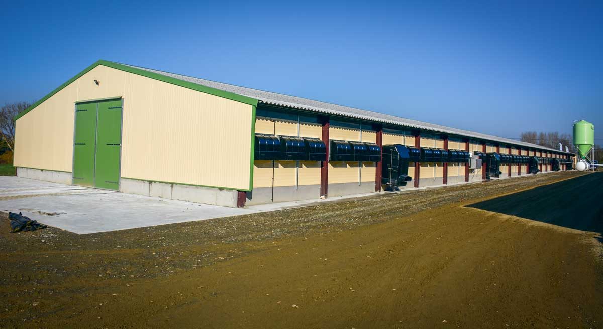 Un poulailler neuf polyvalent de 1200 m2  Journal Paysan Breton