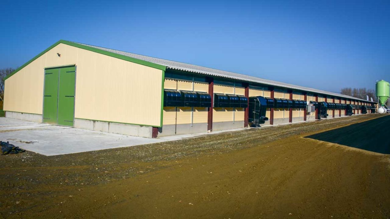 Un Poulailler Neuf Polyvalent De 1200 M2 Journal Paysan Breton