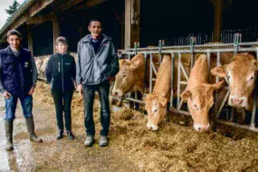 Jean-Paul, Germaine et Joël Boittin gèrent un troupeau de 25 mères blondes d’Aquitaine.