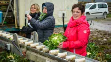 agriculture-au-feminin-chou-legume