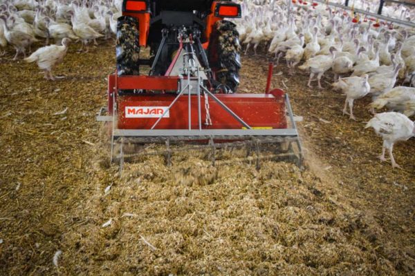 Leveur De Dinde Un M Tier Technique Journal Paysan Breton