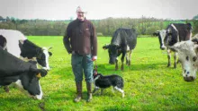 Sur un parcellaire morcelé, Ludovic Massard a gagné 13 ha de pâturage accessibles aux vaches laitières avec des aménagements.