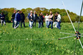 BCLEOuest organise des rencontres sur les signes de vaches au pâturage. La semaine dernière, des éleveurs et des techniciens se sont rendus sur la ferme de Françoise Faucheux, à Campénéac.