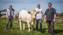 Olivier Le Moign, éleveur charolais à Corlay, et Philippe Gérel, co-président des bouchers des Côtes d’Armor, entourent Michel Grapaillard qui les a accueillis sur son exploitation.