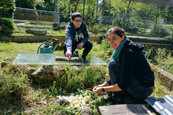 Katell Quistinic, responsable du terrarium et Théo Laguilliez, bénévole, lors du nourrissage des tortues et de l’entretien de leur espace de vie.   