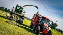 ensilage-herbe-ligne-electrique