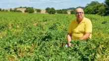 Bertrand Tanguy est l’un des organisateurs de la journée. La culture de la pomme de terre est fortement ancrée dans le territoire breton.