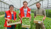 Valérie et Jean-François Boulo sous la serre de 6 000 m2. Les jeunes pousses y sont semées de septembre à avril. En été, la serre est divisée en cinq zones. L'une d'entre elles est implantée en melon, les quatre autres en sorgho (engrais vert). Le melon revient tous les cinq ans sur la même zone.