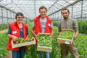 Valérie et Jean-François Boulo sous la serre de 6 000 m2. Les jeunes pousses y sont semées de septembre à avril. En été, la serre est divisée en cinq zones. L'une d'entre elles est implantée en melon, les quatre autres en sorgho (engrais vert). Le melon revient tous les cinq ans sur la même zone.