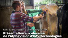 imv technologies alpha vision