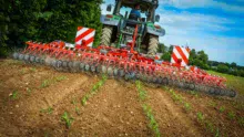 8 rangs sont désherbés par passage, le tracteur évolue entre 6 et 8 km/h.