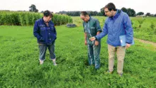 Tour d’herbe avec l’animateur du Cedapa : Isabelle et André Ganne sont satisfaits de leur parcelle avec une bonne présence de trèfle.