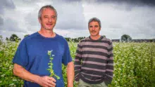 Nicolas et Stéphane Postic, avec une centaine d’hectares de blé noir, sont parmi les premiers producteurs en Bretagne.