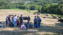 Le groupe a visité huit fermes majoritairement herbagères.