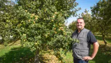 Guillevic, Douce Moën, Douce Coëtligné, Kermerrien, Bedan, Peau de chien... Dans ses vergers, Jean-Michel Nicol cultive différentes variétés de pommes à cidre, qui sont autant de crus, reflets d'un terroir.