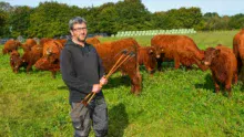 L’éleveur mise avant tout sur des espèces variées dans ses pâtures, pour offrir une flore abondante à ses vaches.