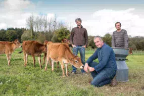 Depuis quelques années, Vincent Daboudet, Jean-Jacques Poilvert et Olivier Guillemet ont opté pour le croisement trois voies (Rouge scandinave, Jersiaise et Holstein néo-zélandaise) « pour gagner en rusticité et profiter de l’effet d’hétérosis ». Récemment, ils ont acheté six femelles Jersiaises.