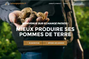 POMME-DE-TERRE-echange-patate