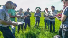 Le jury se rend sur les parcelles afin de juger à la fois l’intérêt agronomique de la parcelle pour l’exploitation et la diversité des plantes présentes.