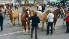 Foire-de-printemps-2017