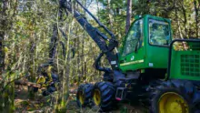 La forêt morbihannaise représente 19% du territoire, contre seulement 12 à 13 % dans les départements voisins, mais elle est très morcelée.