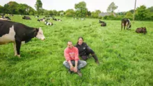 Leurs 64 vaches laitières de Mathieu et Soizic Le Fustec sont en pâturage plat unique depuis fin avril. Il est prévu qu’elles le restent jusqu’à mi-octobre.