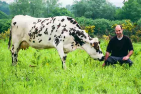 culture à part entière après avoir arrêté de semer du maïs pour préparer son passage en bio.