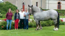 Lénaick Déniel (Société départementale d’agriculture), Patrice Ecot, Pascal Cousin et Lucie Marin (inséminatrice échographe à l’IFCE) accompagnent Ust Ar Mor, un étalon de 10 ans à la robe aubère.