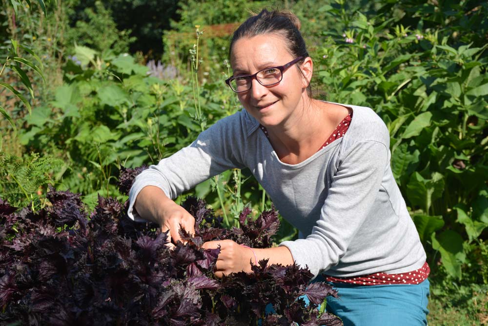 Hélène Deniaud-Powell dans son jardin. - Illustration Une explosion de saveurs florales