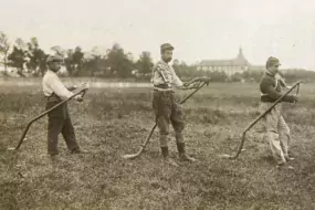 Mutilés aux champs. Archives départementales d'Ille-et-Vilaine 7M72416