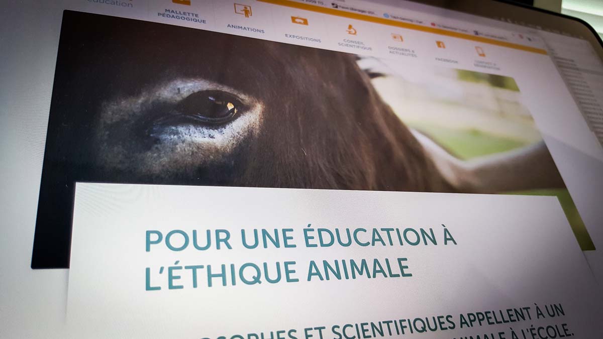 Site web de L214 dédié à l'éducation. - Illustration Elevage : la CR veut contenir L214 hors des établissements scolaires