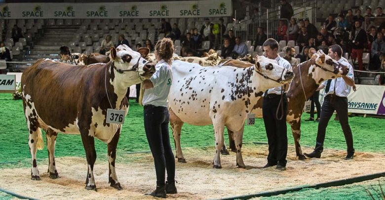 La ronde des races laitières au Space 2018  Journal Paysan Breton