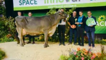 Le Gaec du Bois Brillant rafle les prix de Championne adulte, Meilleure mamelle adulte et Grande championne, avec Lbb Génial.