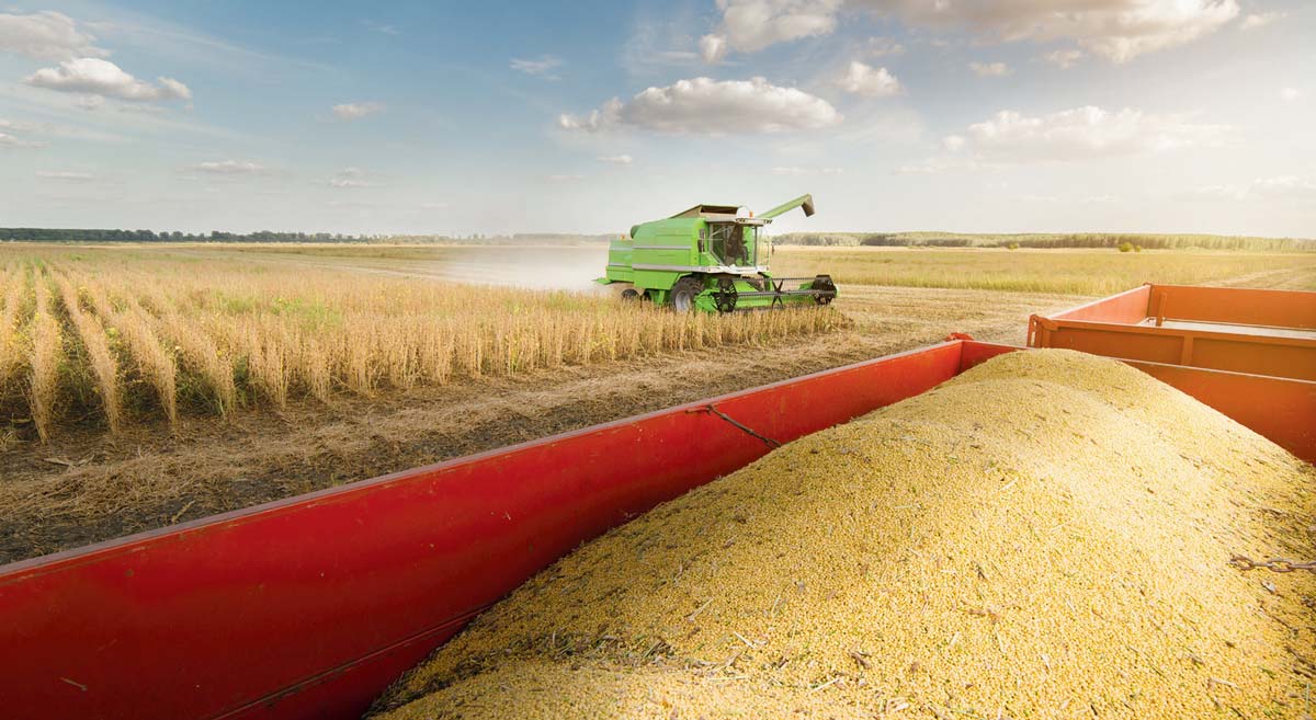 marche-cereales - Illustration Faut-il encore se fier aux fondamentaux ?