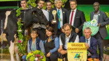 prim-holstein-championne-space-2018