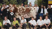 Inouie, Grande championne, a été fêtée par l'ensemble des éleveurs normands à la fin du concours.