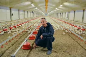 Marc Cornec, président du groupement des éleveurs Yer Breizh.