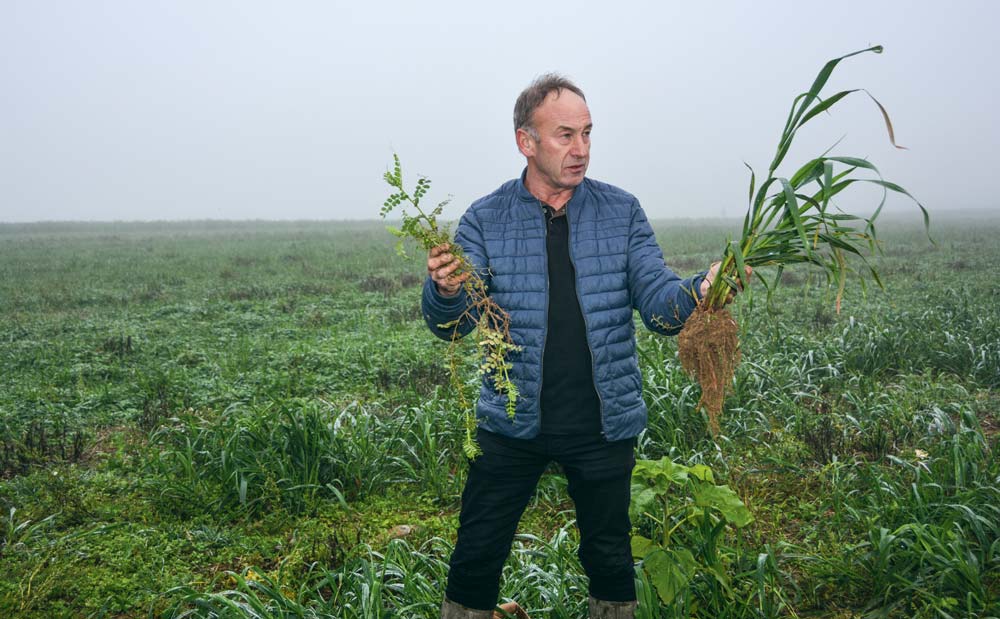 Jean-Luc Le Bénézic a présenté l’essai en cours, composé de dérobée et de couverts végétaux divers. - Illustration Un couvert économique et facile à semer