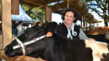 Églantine Touchais transforme 15 000 L de lait de Bretonne Pie Noir.